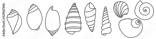 Set of line art sketch seashells. Vector illustration isolated from background. Decoration symbol of health calcium. Different shapes of shells. Sea ocean icon. Sand and beach design.
