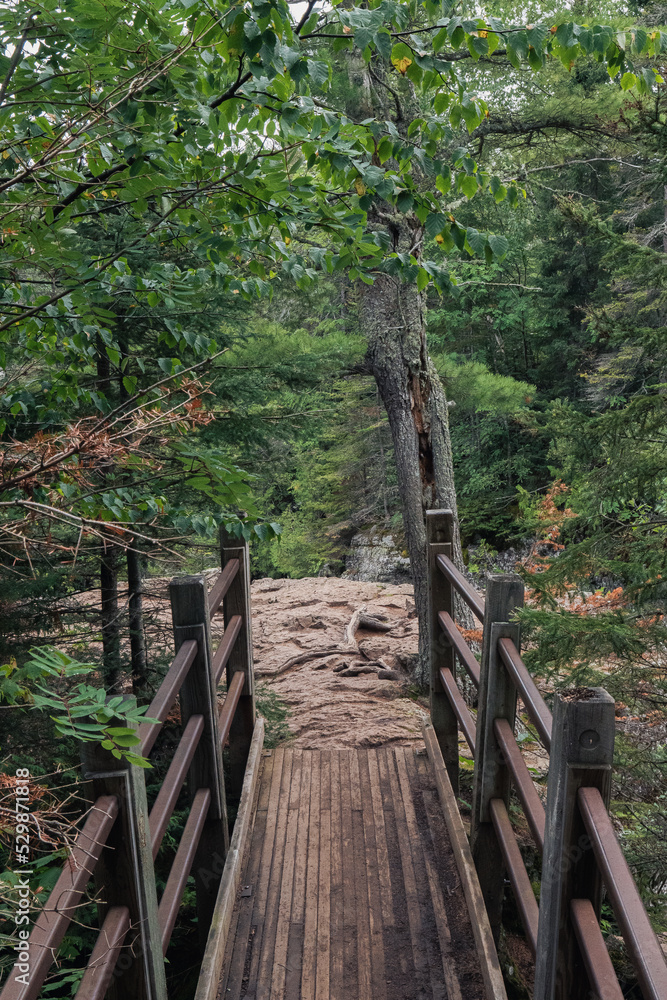 Fototapeta premium Wooden Bridge in the Forest