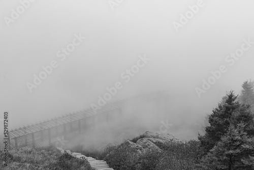 cloud sea of baihua mountain of Beijing China photo