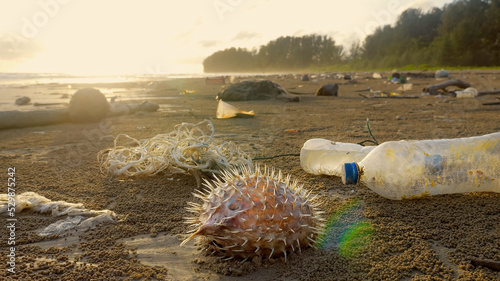 Photography Shore of sea beach with plastic trash, empty bottles and dead fish