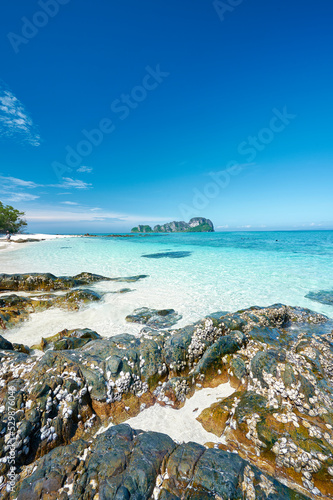 The landscape of Phi Phi Islands, Thailand photo