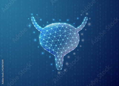 Bladder polygonal symbol with binary code background. Reproductive system concept design illustration. Organ anatomy low poly symbol