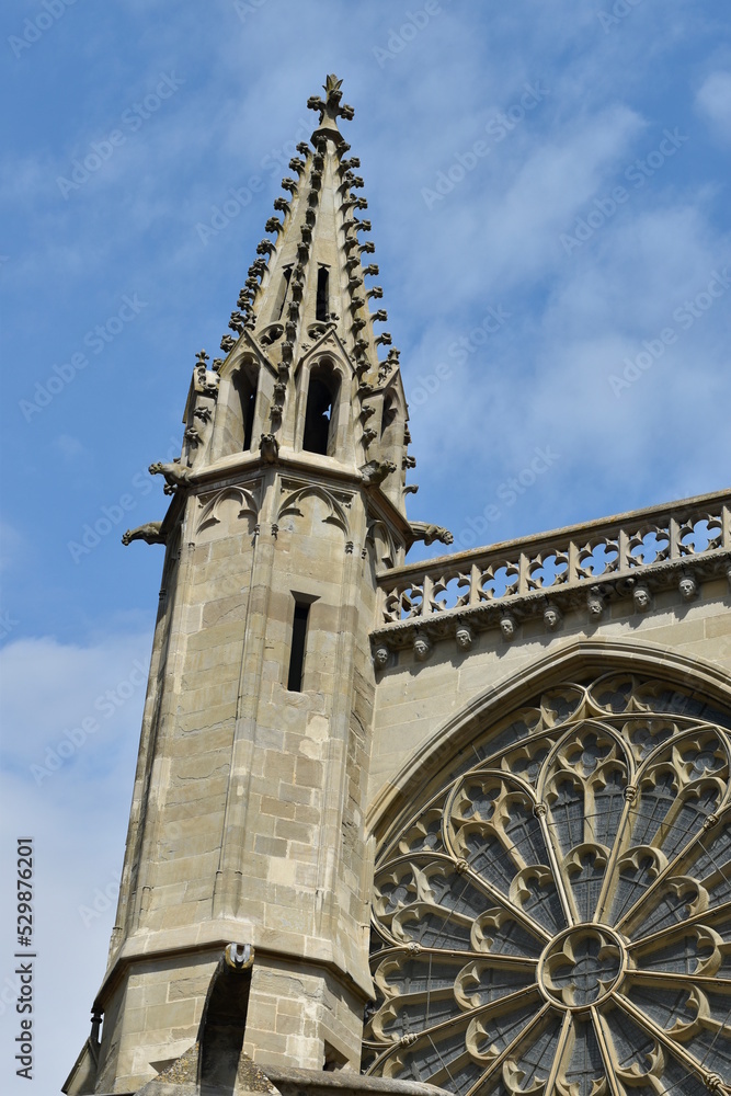 les gargouilles de La basilique Saint Nazaire à la cité de Carcassonne