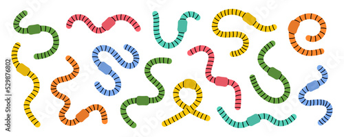 Set of colored curled earthworms. Compost earthworms line illustration. Terrestrial annelids worms. Invertebrate worms colored line banner.