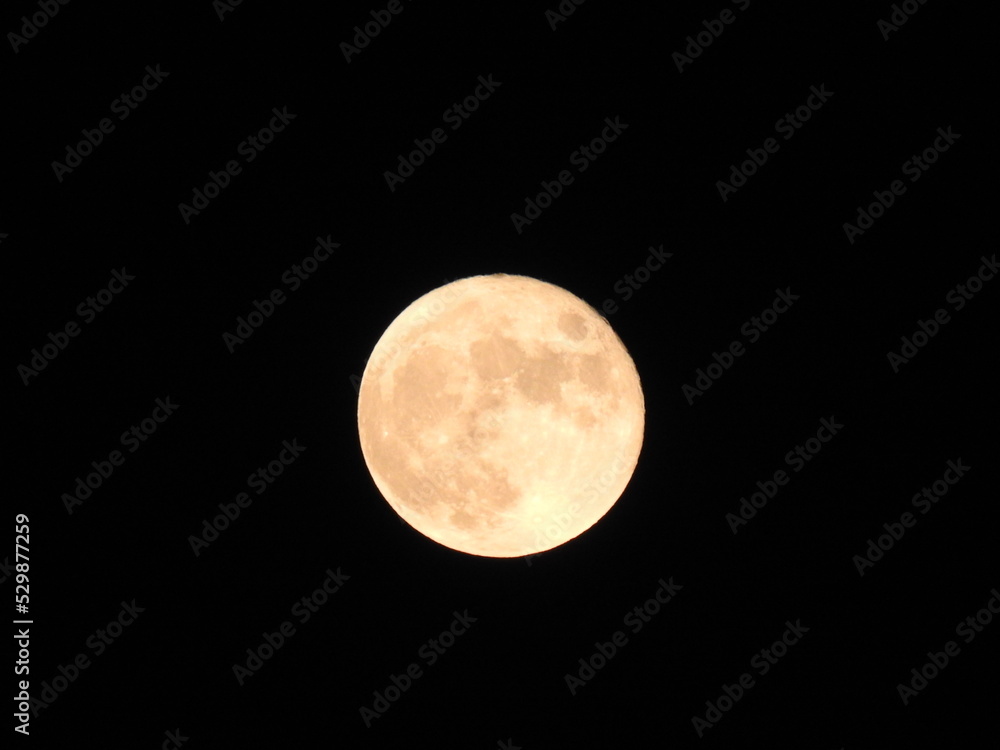 Obraz premium full moon in the night