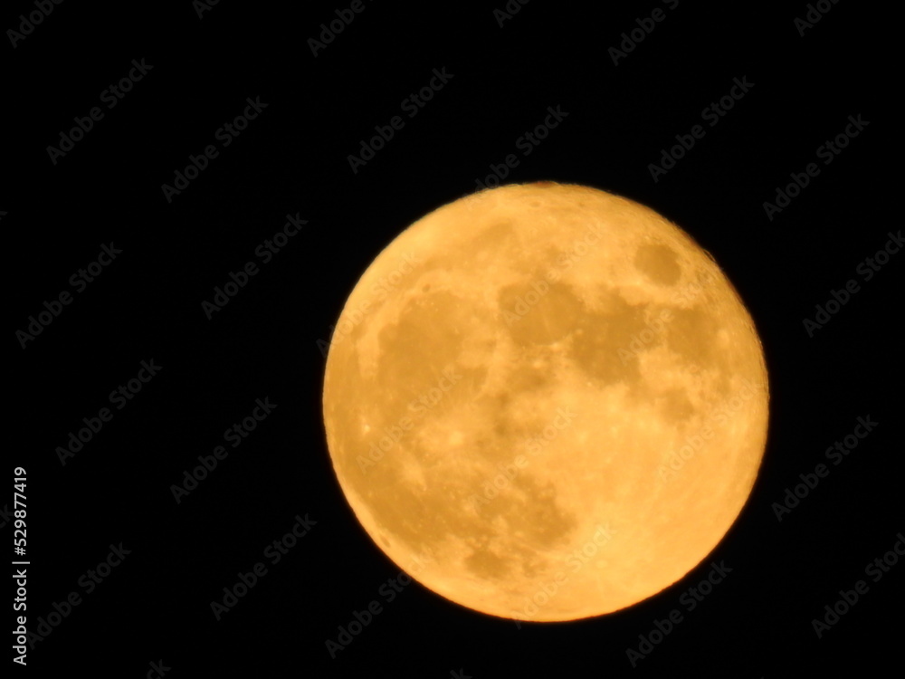 Fototapeta premium Full Moon 2022