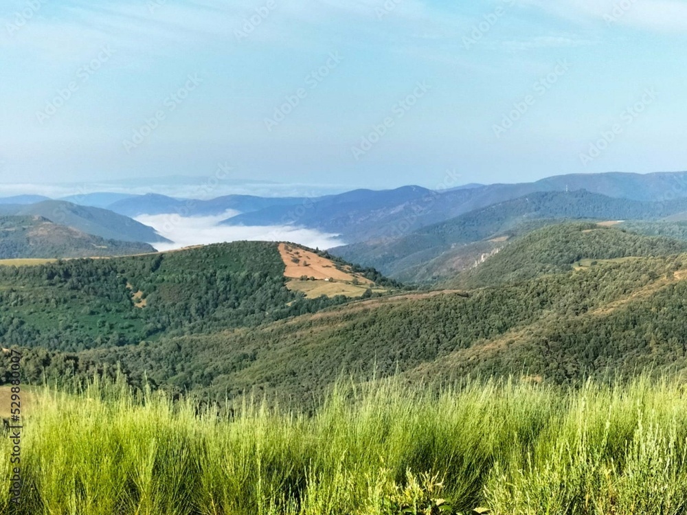 Naklejka premium Paraje de Pedrafita do Cebreiro, Galicia
