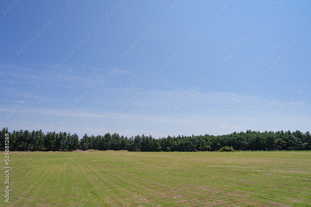 Wide open beautiful fields and blue sky