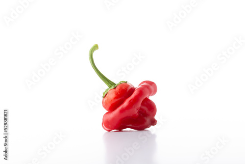 Jamaican Bell Pepper Chili
