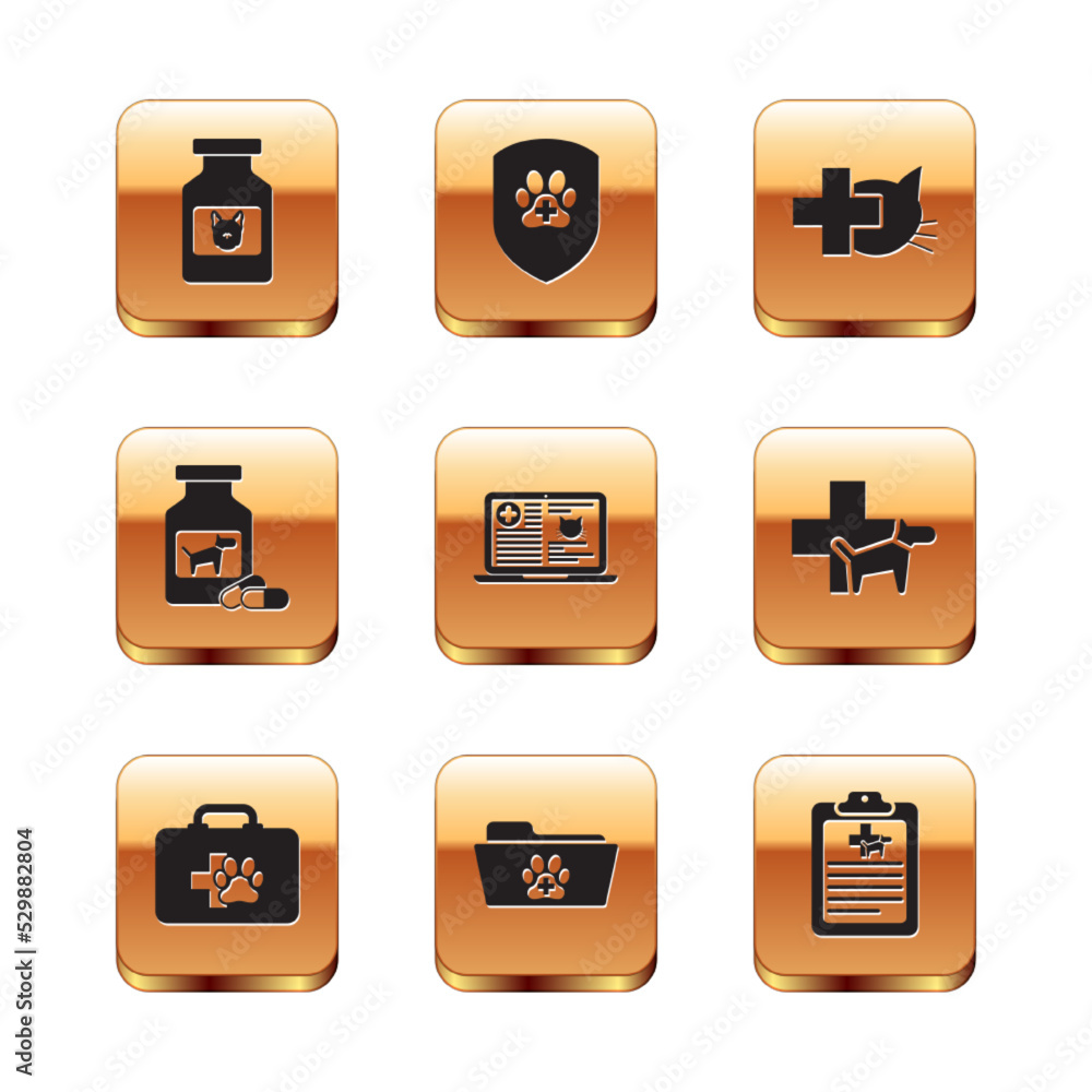 Set Dog medicine bottle, Pet first aid kit, Medical veterinary record folder, Clinical cat on laptop, and pills and Veterinary clinic icon. Vector Set Dog medicine bottle, Pet first aid kit, Medical veterinary record folder, Clinical cat on laptop, and pills and Veterinary clinic icon. Vector