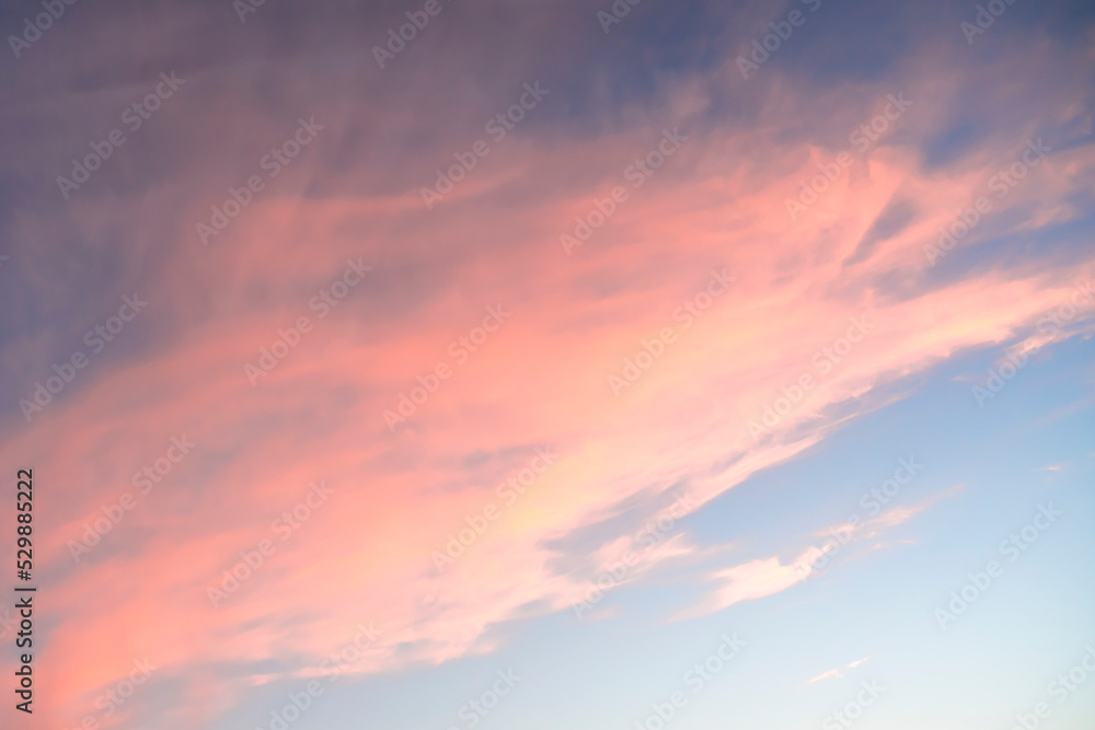 Beautiful pink clouds in the blue sky. Background for screen saver, wallpaper, cover. High quality photo