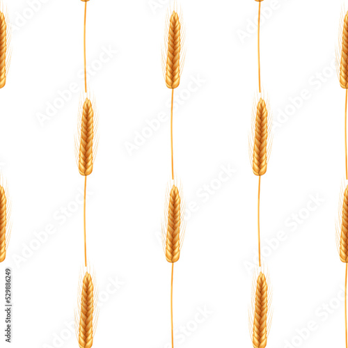 Seamless pattern of ripe spikelets of wheat with grains,ears and stalks.Realistic illustration of seed plants,organic farming farming.