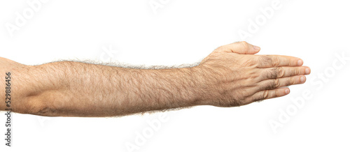 Billede på lærred Male Index Finger Pointing Isolated, Hairy Hand Pointing