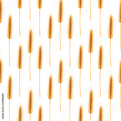 Seamless pattern of ripe spikelets of wheat with grains,ears and stalks.Realistic illustration of seed plants,organic farming farming.