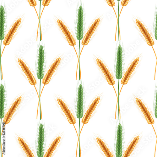 Seamless pattern of ripe spikelets of wheat with grains,ears and stalks.Realistic illustration of seed plants,organic farming farming.