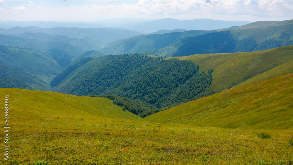 Obraz premium summer mountain scenery. view in to the distant rural valley. green meadows and forested hills. sunny weather. beautiful nature of carpathians
