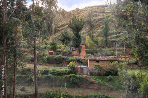 A simple rural Landscape in Tarma. A peasant seeks for seeds in the land. Morning in the countryside. Junin, Peru