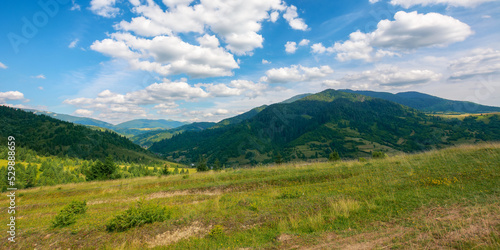 carpathian countryside landscape at high noon. beautiful summer mountain scenery on a sunny day. forested hills and grassy meadows beneath a blue sky with cumulus clouds © Pellinni