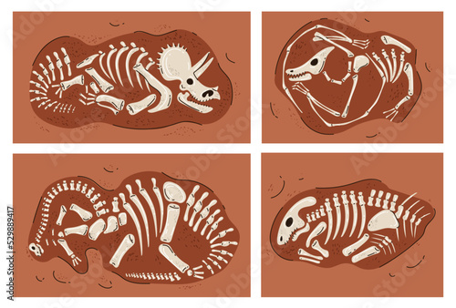 Dinosaur skeleton fossil bone paleontology museum concept. Graphic design element vector illustration