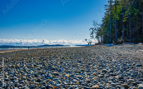 The pebbled shore of Qualicum Beach