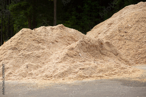 Sawdust after processing lumber.A big pile of sawdust.