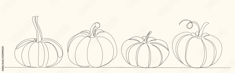 pumpkin drawing by one continuous line, vector