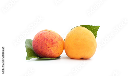 Two ripe apricots.