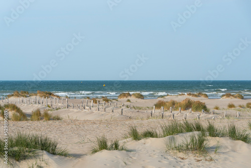 Plage de la mer du Nord, avec dunes, piliers en bois et bouée marine en mer