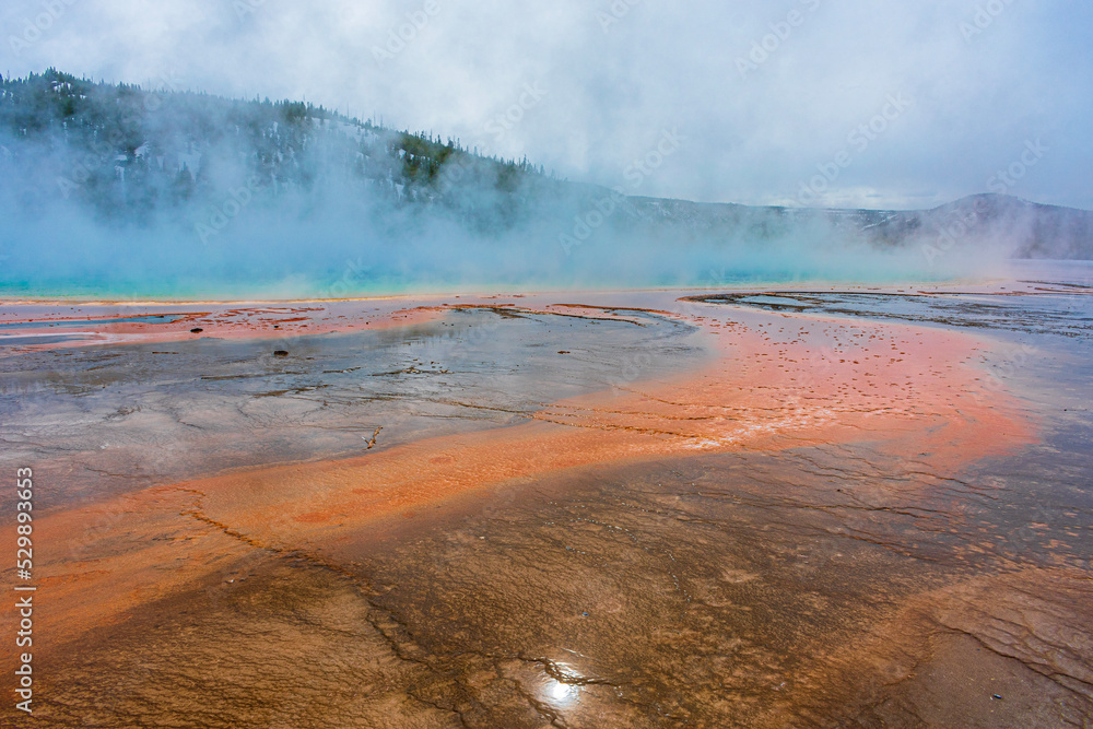 Yellow Stone National Park