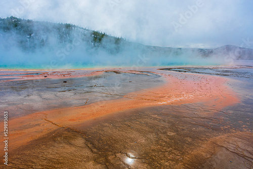 Yellow Stone National Park