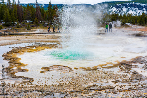 Yellow Stone National Park photo