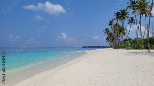 Fototapeta Naklejka Na Ścianę i Meble -  Maldives Beach