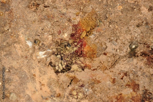 Closeup shot of Sulphur and minerals in the high-temperature area of Hverir, Iceland photo