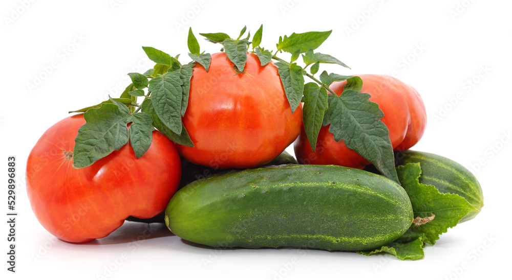 Cucumbers and tomatoes.