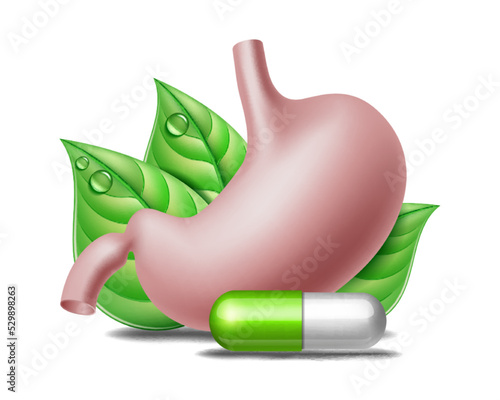 Web banner with illustration of stomach protection with medicine pills and green leaves