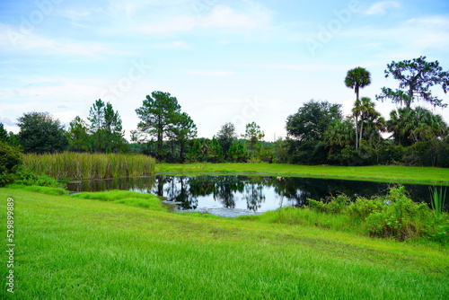 A beautiful community pond or lake