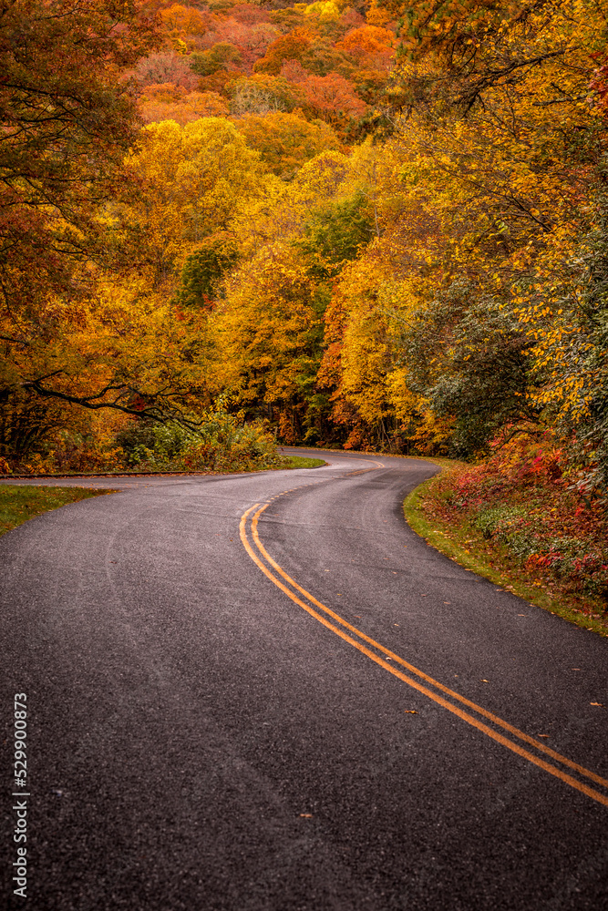 Fototapeta premium Fall Drive Along the Blue Ridgeway Parkway