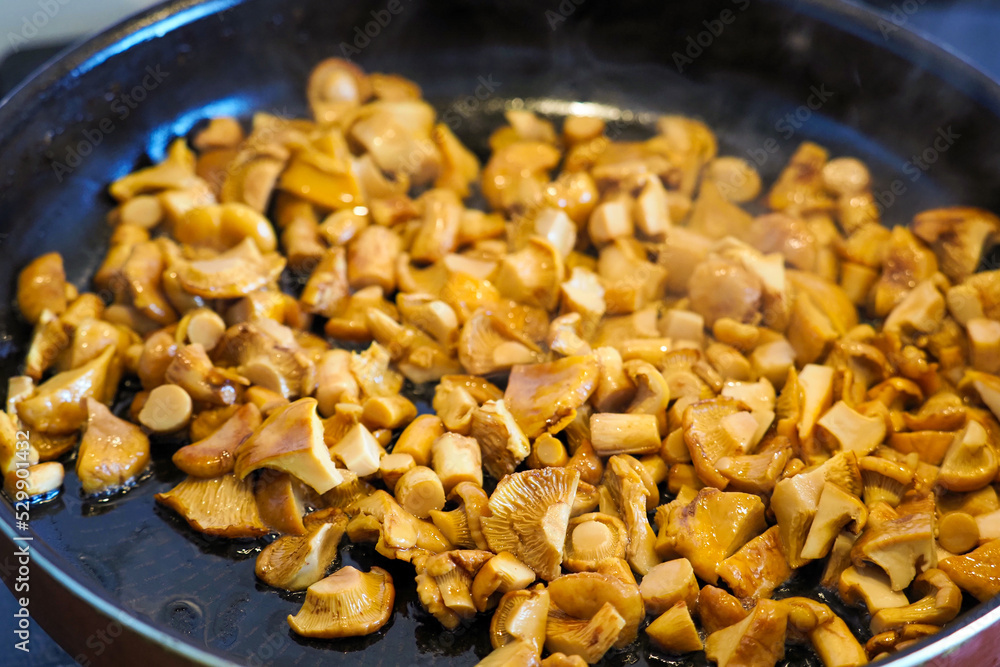 Chanterelle mushrooms are fried in a frying pan in oil Chanterelle mushrooms are fried in a frying pan in oil