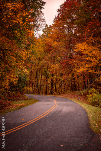 Fall Drive Along the Blue Ridgeway Parkway © Teri