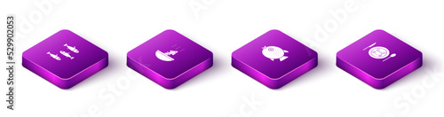 Set Isometric Fishes, Soup with octopus, Puffer fish and Served crab on a plate icon. Vector