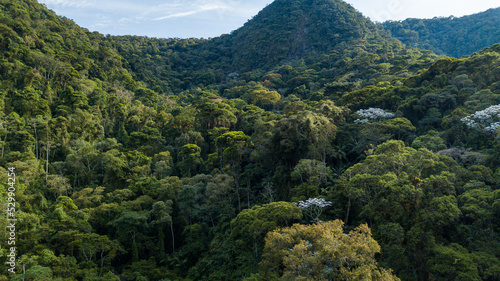 Waterfall in the Atlantic Forest, one of the most biodiverse biomes in the world, which has been reduced to 12% of its original extent in Brazil.