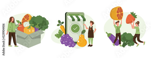 Healthy eating illustration set. Character buying fresh organic fruit, vegetables in online grocery shop and receiving veggie box delivery. Local production support concept. Vector illustration.