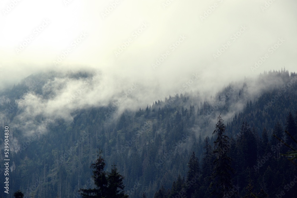 Clouds Clouds