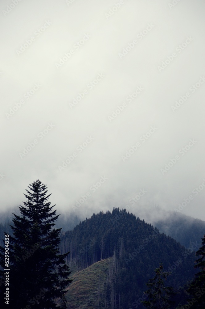 Clouds Clouds