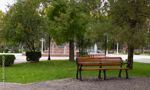 Wooden bench in a city park without people.