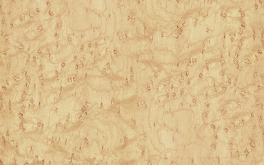 Bleached burl wood texture high resolution