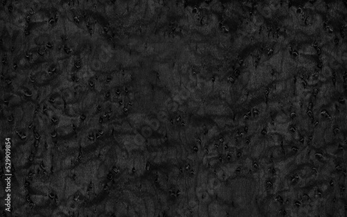 Black burl wood texture high resolution