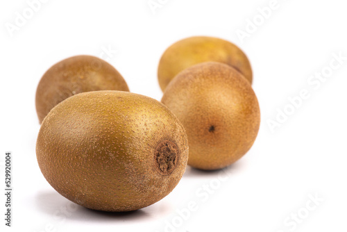 Fresh kiwi fruit closeup isolated on white background