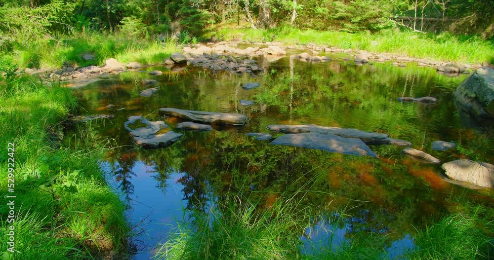 Still water forms a reservoir in the forest thicket. Reflection of trees in the lake against the background of the woodland in summer. Beautiful nature landscape. Germany. Nobody. Still water forms a reservoir in the forest thicket. Reflection of trees in the lake against the background of the woodland in summer. Beautiful nature landscape. Germany. Nobody.