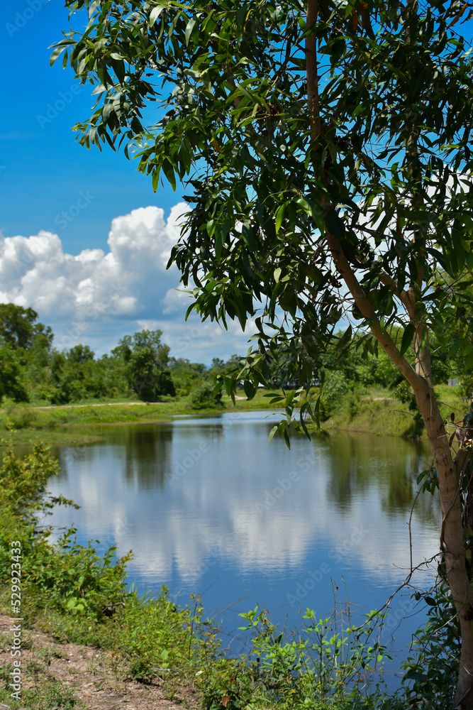 Blue water stream with river banks of green grass and trees.